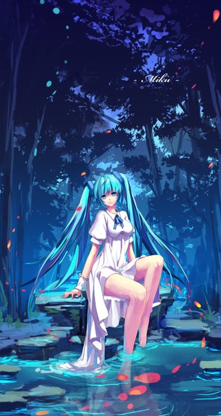 Anime picture 800x1500 with vocaloid hatsune miku erkelee single long hair tall image looking at viewer sitting twintails barefoot aqua eyes aqua hair night night sky legs character names nature soaking feet girl dress