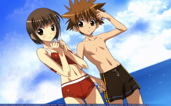 Anime picture 1920x1200 with d.n.angel xebec niwa daisuke harada riku highres short hair brown hair wide image brown eyes looking away sky cloud (clouds) girl boy navel swimsuit sea swimming trunks