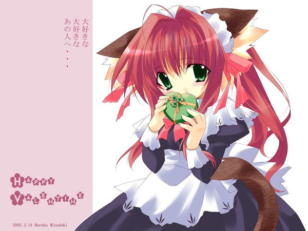 Anime picture 1024x768 with cat girl valentine girl tagme