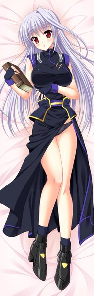 Anime picture 500x1558 with mahou shoujo lyrical nanoha reinforce zwei endori single long hair tall image blush light erotic red eyes blue hair dakimakura (medium) girl dress gloves underwear panties shoes fingerless gloves book (books)