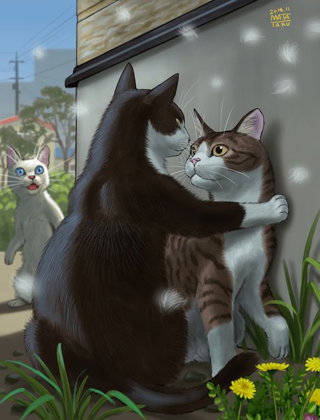 Anime picture 764x1000 with original matataku tall image blue eyes brown eyes signed no people humor kabe-don flower (flowers) plant (plants) animal cat grass wall