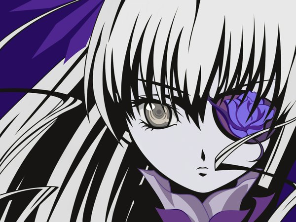 Anime picture 1600x1200 with rozen maiden barasuishou close-up girl eyepatch