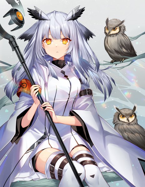 Anime picture 1831x2363 with arknights ptilopsis (arknights) ion (on01e) single long hair tall image looking at viewer fringe highres sitting silver hair orange eyes expressionless girl thighhighs animal white thighhighs bird (birds) thigh strap staff
