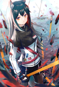 Anime picture 1788x2612