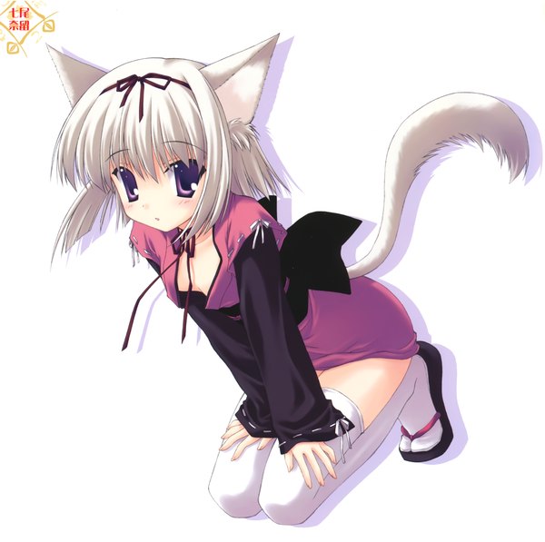Anime picture 6043x6016 with original nanao naru highres short hair light erotic simple background white background purple eyes animal ears absurdres white hair cat ears no bra cat girl cat tail kneeling girl thighhighs dress white thighhighs