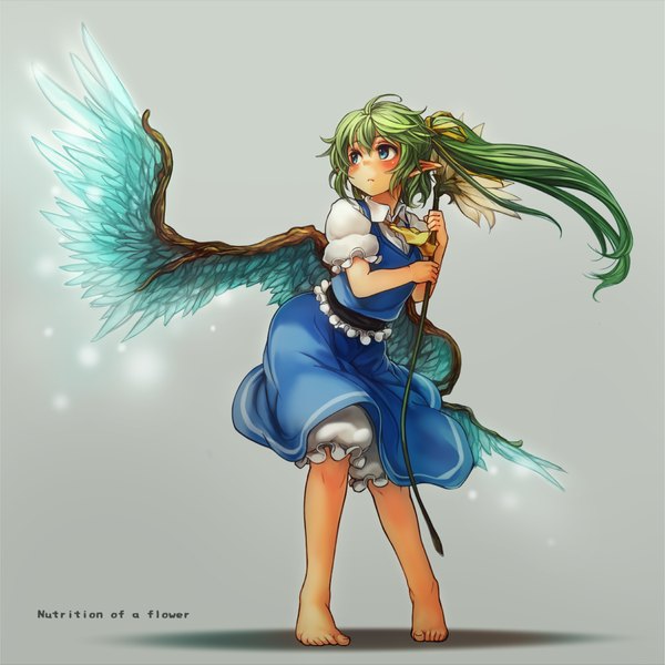 Anime picture 1000x1000 with touhou daiyousei sachito (artist) single long hair blush short hair blue eyes simple background looking away ponytail barefoot green hair wind pointy ears grey background side ponytail girl flower (flowers) wings