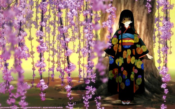 Anime picture 1680x1050 with hell girl studio deen enma ai highres wide image japanese clothes cherry blossoms hime cut flower (flowers) wisteria