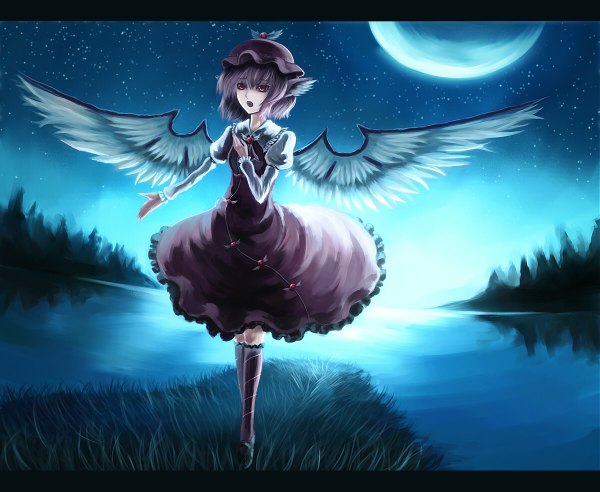 Anime picture 1200x984 with touhou mystia lorelei paseri single short hair animal ears pink hair sky pink eyes night letterboxed singing girl thighhighs dress hat wings water moon star (stars)