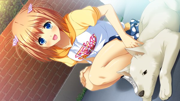 Anime picture 1280x720 with tojita sekai no tori colony single looking at viewer blush short hair open mouth blue eyes wide image sitting game cg orange hair girl bow hair bow dog