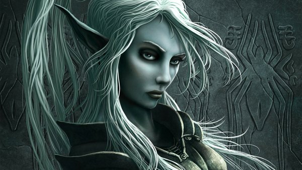 Anime picture 1920x1080 with rise of the drow kerembeyit single long hair highres blue eyes wide image white hair ponytail pointy ears grey background grey eyes hieroglyph monochrome cropped girl armor wall stone (stones) spider