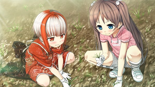 Anime picture 2560x1440 with monobeno sawai natsuha sumi (monobeno) cura long hair blush highres short hair blue eyes red eyes brown hair wide image twintails multiple girls game cg japanese clothes multicolored hair loli girl gloves