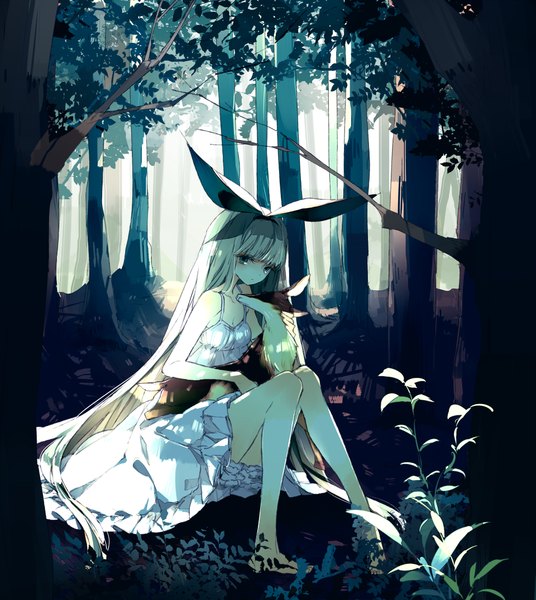 Anime picture 960x1075 with original m (pixiv1826702) long hair tall image looking at viewer fringe blue eyes sitting white hair hug light girl dress plant (plants) animal tree (trees) white dress leaf (leaves) branch forest