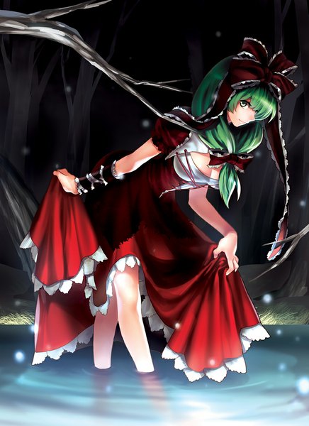 Anime picture 755x1037 with touhou kagiyama hina irua single long hair tall image looking at viewer smile green eyes cleavage green hair light smile snowing girl dress ribbon (ribbons) plant (plants) hair ribbon tree (trees) water