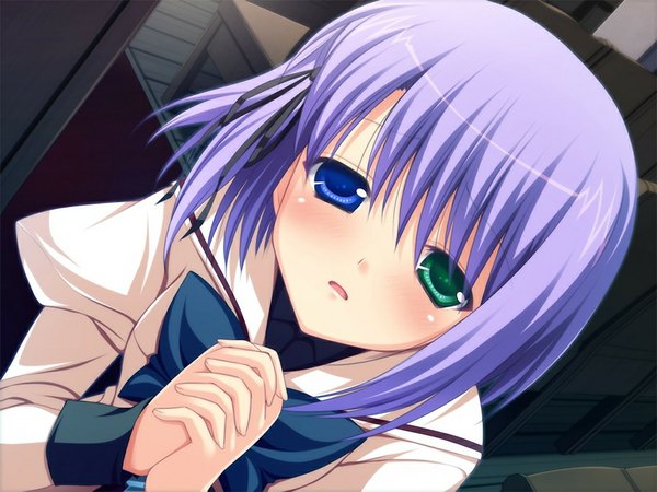 Anime picture 1024x768 with sacred vampire (game) single blush short hair open mouth game cg purple hair heterochromia hands clasped interlocked fingers girl uniform ribbon (ribbons) hair ribbon school uniform bowtie