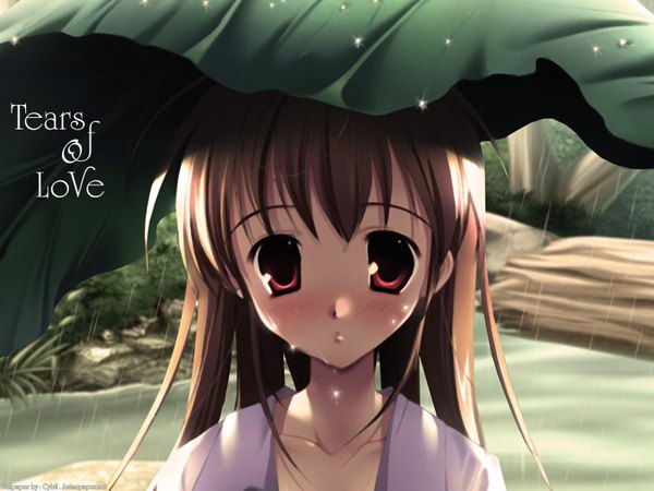 Anime picture 1600x1200 with original mikeou lady89 (cybil) single looking at viewer blush red eyes brown hair signed outdoors rain third-party edit girl