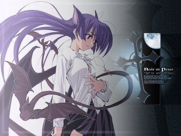 Anime picture 1024x768 with sasaki mutsumi animal ears purple hair cat girl demon girl girl wings cross