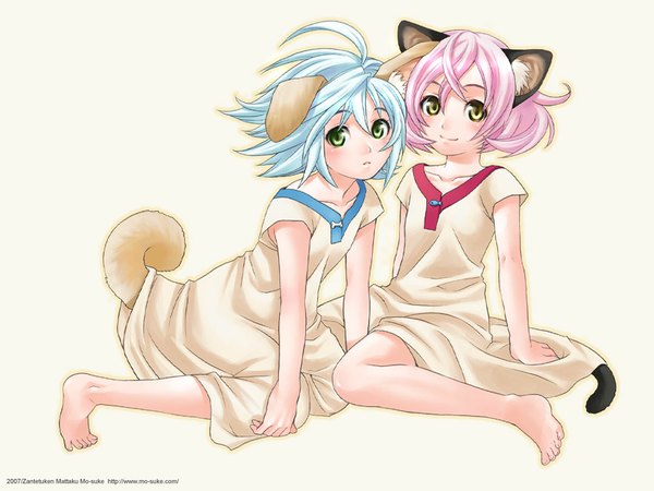 Anime picture 1024x768 with green eyes animal ears yellow eyes blue hair pink hair tail cat girl dog girl girl