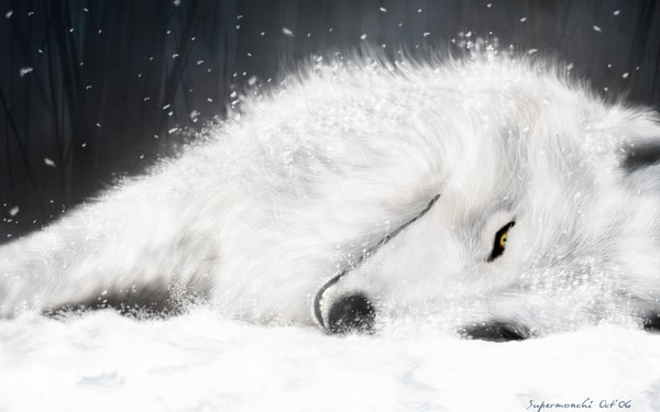 Anime picture 1920x1200 with wolfs rain studio bones kiba highres wide image yellow eyes lying wallpaper on side snowing snow no people animal wolf