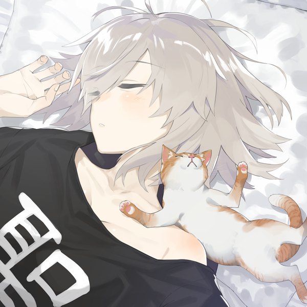 Anime picture 1000x1000 with fate (series) fate/grand order jeanne d'arc (fate) (all) jeanne d'arc alter (fate) hayashi kewi single blush fringe short hair bare shoulders silver hair upper body eyes closed hair over one eye sleeping girl animal pillow cat t-shirt