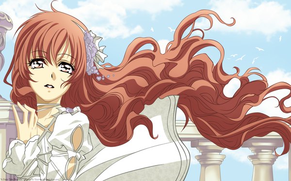 Anime picture 1920x1200 with princess princess studio deen yutaka mikoto single long hair highres brown hair wide image brown eyes sky cloud (clouds) very long hair hair flower wind wavy hair girl dress boy hair ornament animal