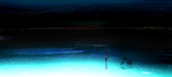 Anime picture 3035x1358 with original watari single long hair highres brown hair wide image standing sky from behind night night sky reflection landscape city lights shooting star girl pantyhose jacket scarf