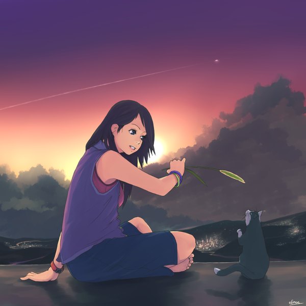 Anime picture 1300x1300 with original efmoe single long hair black hair sitting sky cloud (clouds) barefoot black eyes evening sunset condensation trail girl cat
