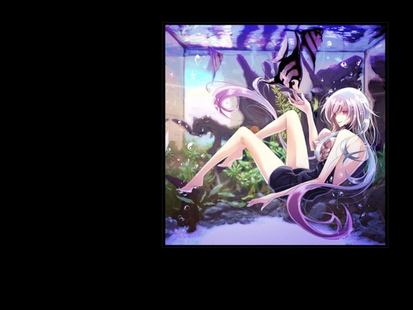 Anime picture 1280x960 with long hair purple eyes pink hair barefoot back girl plant (plants) water shorts fish (fishes) aquarium