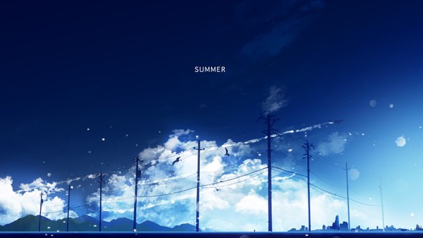 Anime picture 2560x1440 with original y y (ysk ygc) highres wide image sky cloud (clouds) inscription city mountain no people summer condensation trail animal bird (birds) aircraft power lines airplane