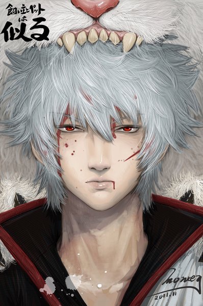 Anime picture 1411x2126 with gintama sunrise (studio) sakata gintoki sadaharu monkey (weibo) tall image short hair red eyes signed silver hair realistic inscription teeth fang (fangs) animal choker blood splashes