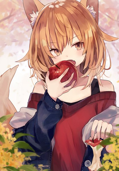 Anime picture 791x1133 with original shugao single tall image looking at viewer blush fringe short hair open mouth hair between eyes bare shoulders holding brown eyes animal ears upper body tail head tilt animal tail orange hair open jacket