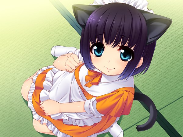 Anime picture 1024x768 with motto nee, chanto shiyou yo! afterstory ichijou mio short hair blue eyes animal ears game cg purple hair cat ears maid cat tail loli girl