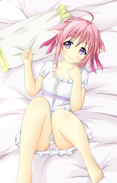 Anime picture 643x1000 with dog days millhiore f biscotti tear yu single tall image looking at viewer blush fringe short hair light erotic smile purple eyes animal ears pink hair pink eyes pantyshot dog ears girl dress underwear