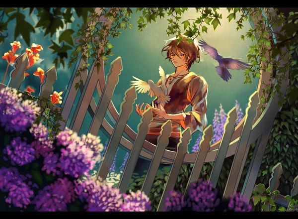 Anime picture 800x587 with original iya-chen single looking at viewer short hair blue eyes brown hair standing sunlight from below dutch angle letterboxed boy flower (flowers) plant (plants) animal window bird (birds) branch fence