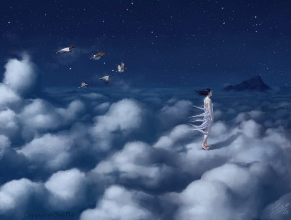 Anime picture 1200x908 with bao pham (artist) single long hair sky cloud (clouds) realistic night mountain flying fantasy girl animal bird (birds) star (stars)