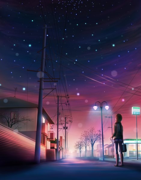 Anime picture 1300x1660 with original monorisu tall image short hair brown hair sky cloud (clouds) night sky landscape girl skirt miniskirt scarf star (stars) house power lines road