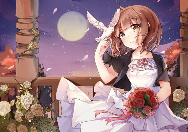 Anime picture 850x601 with original hnanati single blush fringe short hair brown hair brown eyes looking away ahoge blunt bangs head tilt wind night night sky bird on hand girl dress flower (flowers) animal