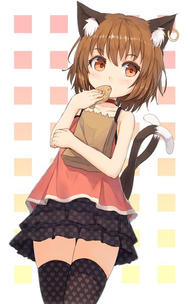 Anime picture 800x1280 with touhou chen shone single tall image fringe short hair hair between eyes brown hair holding animal ears looking away tail animal tail cat ears cat girl cat tail orange eyes alternate costume zettai ryouiki