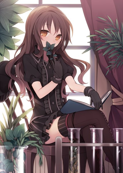 Anime picture 800x1119 with original hijiri (resetter) single long hair tall image looking at viewer blush brown hair sitting orange eyes crossed legs hat removed girl thighhighs dress gloves plant (plants) hat black gloves frills