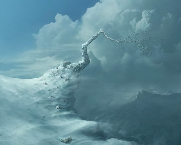 Anime picture 1280x1024 with original pietvanvliet sky cloud (clouds) winter snow mountain no people landscape bare tree plant (plants) tree (trees) skull