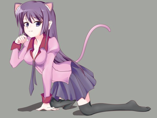 Anime picture 2400x1800 with bakemonogatari shaft (studio) monogatari (series) senjougahara hitagi ushas highres animal ears tail cat ears thighhighs