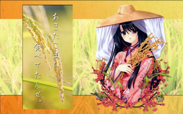 Anime picture 1680x1050 with nishimata aoi wide image akita komachi