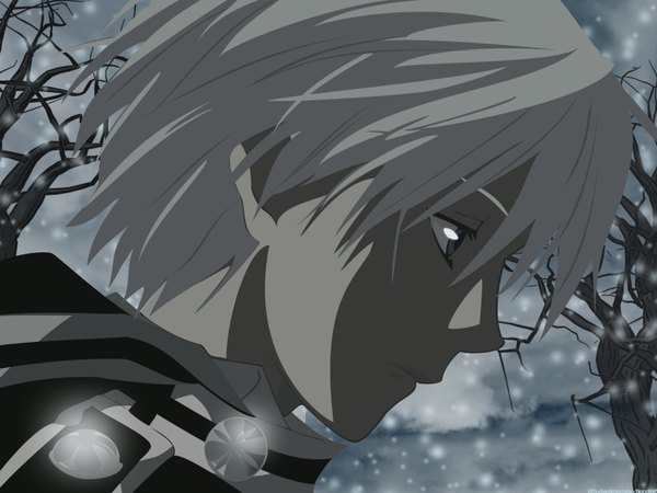 Anime picture 1600x1200 with d.gray-man allen walker single short hair profile grey hair grey eyes snowing winter vector boy plant (plants) tree (trees)