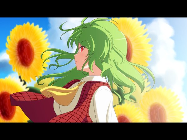 Anime picture 1280x960 with touhou kazami yuuka cato (monocatienus) single long hair looking at viewer red eyes sky cloud (clouds) profile green hair light smile wind letterboxed summer messy hair girl flower (flowers) vest neckerchief
