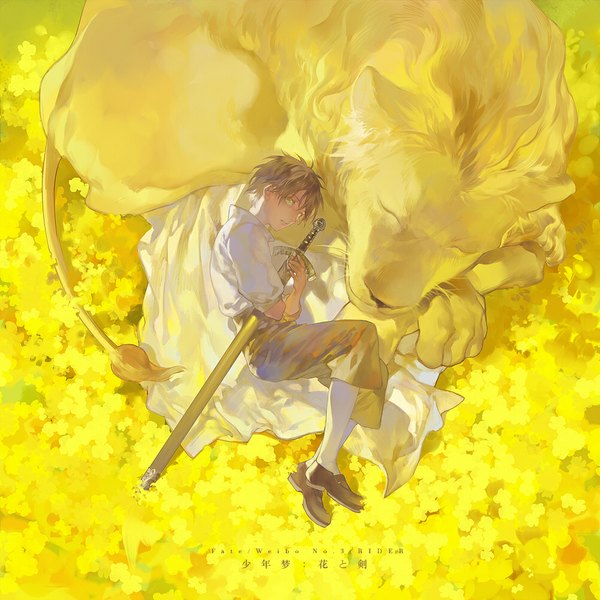 Anime picture 1000x1000 with fate (series) fate/weibo original type-moon coralstone looking at viewer short hair brown hair holding yellow eyes lying eyes closed inscription sleeping boy weapon animal sword lion