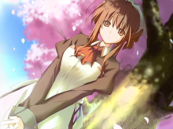 Anime picture 1600x1200 with happy margaret sakura mao kokonoka single long hair blush brown hair brown eyes game cg maid dutch angle cherry blossoms girl plant (plants) petals tree (trees) headscarf