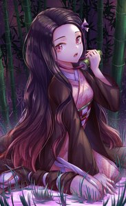 Anime picture 3480x5689