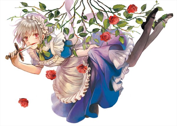 Anime picture 1557x1112 with touhou izayoi sakuya sugi (artist) single looking at viewer blush short hair simple background red eyes white background silver hair maid girl dress flower (flowers) pantyhose headdress rose (roses) maid headdress blood