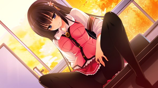 Anime picture 2560x1440 with love la bride mikami haruka mutou kurihito long hair blush highres blue eyes light erotic black hair wide image game cg pantyshot sitting girl uniform underwear panties school uniform pantyhose