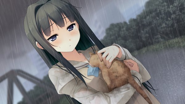 Anime picture 1920x1080 with your diary ayase sayuki kantoku long hair blush highres black hair wide image purple eyes game cg rain girl serafuku cat