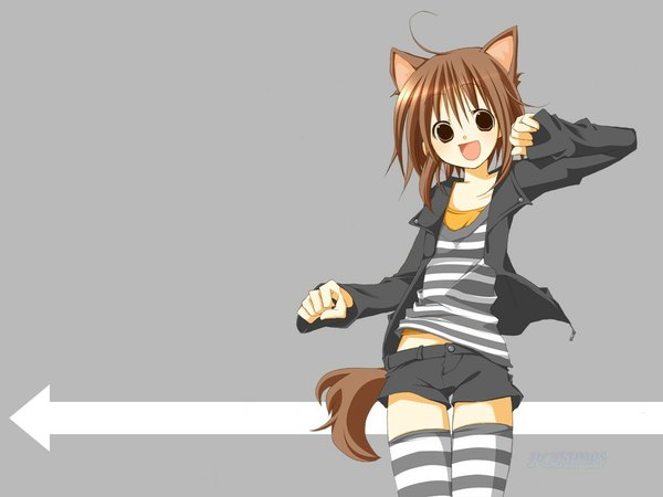 Anime picture 1024x768 with blush smile brown hair animal ears tail flat chest striped dog ears thighhighs shorts striped thighhighs directional arrow